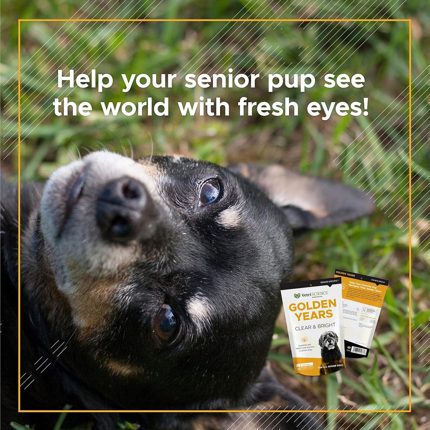 VetriScience Golden Years Clear and Bright Vision Support for Senior Dogs, Chicken Flavor, 60 Chews