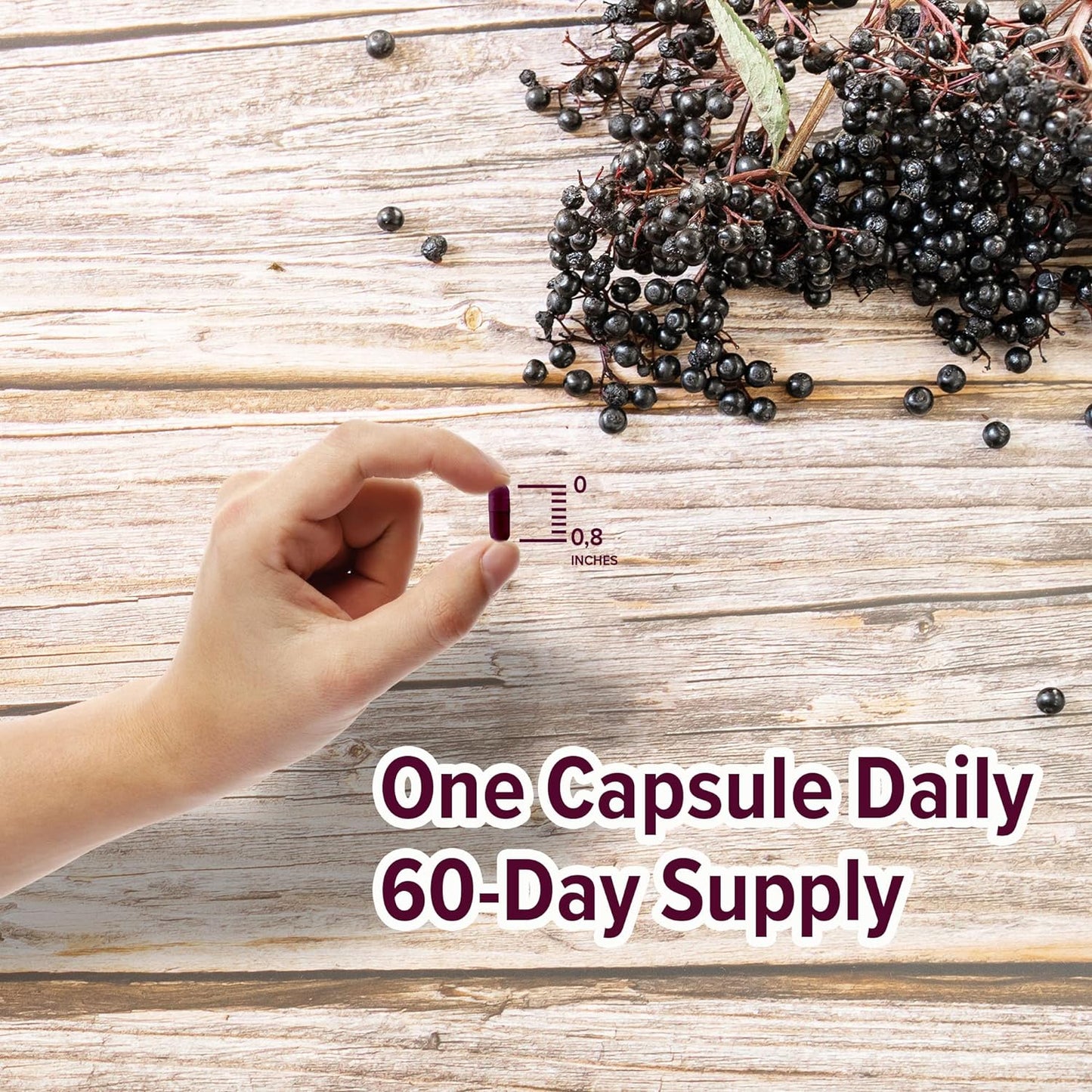 ORZAX Elderberry Capsules -60 Capsules