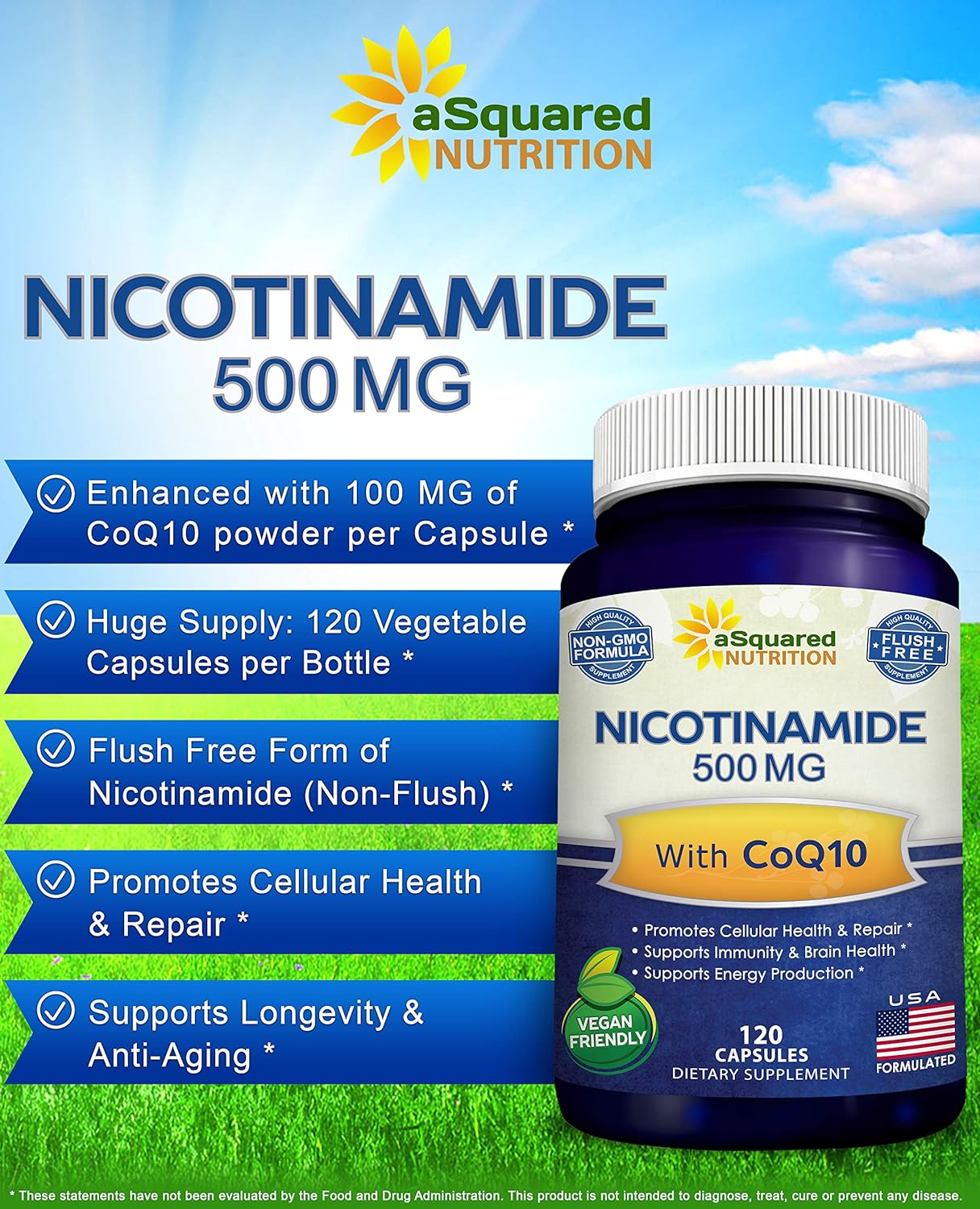 Nicotinamide with CoQ10 (120 Capsules)