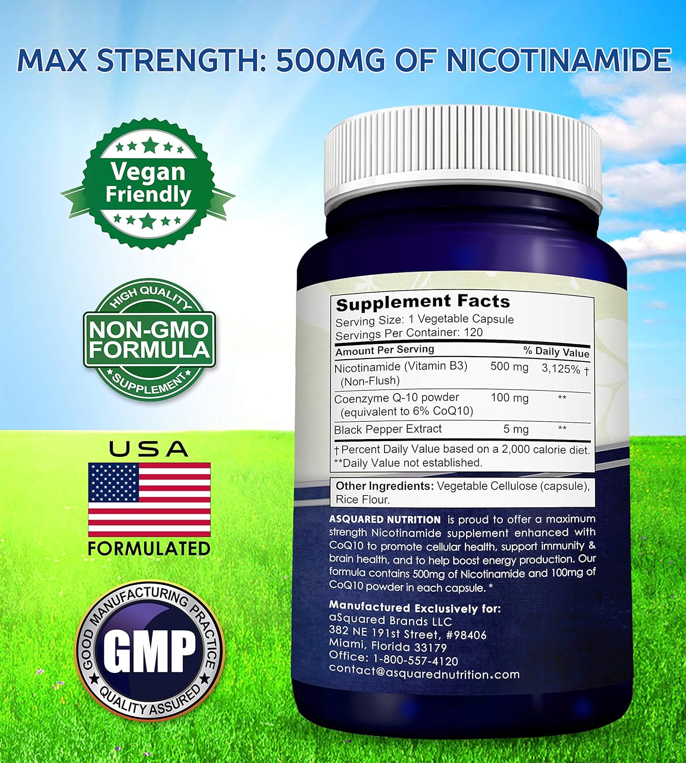 Nicotinamide with CoQ10 (120 Capsules)