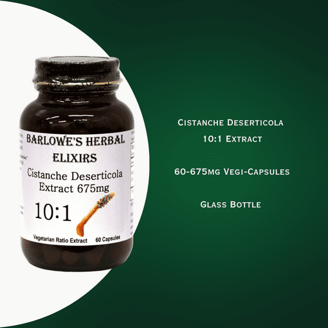 Cistanche Extract 10:1 - 60 675mg VegiCaps