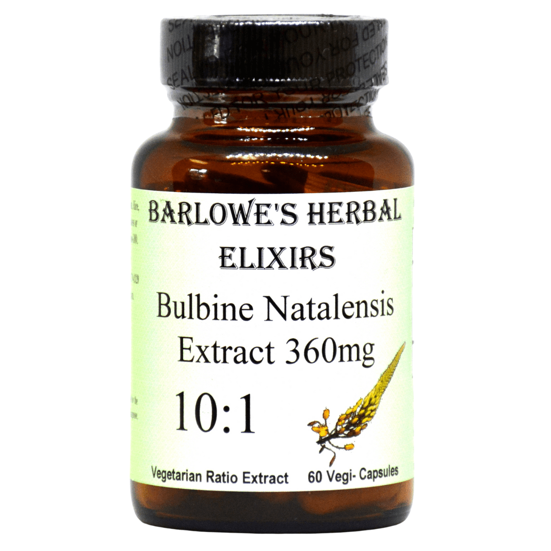 Bulbine Natalensis 10:1 Extract  360mg 60 VegiCaps