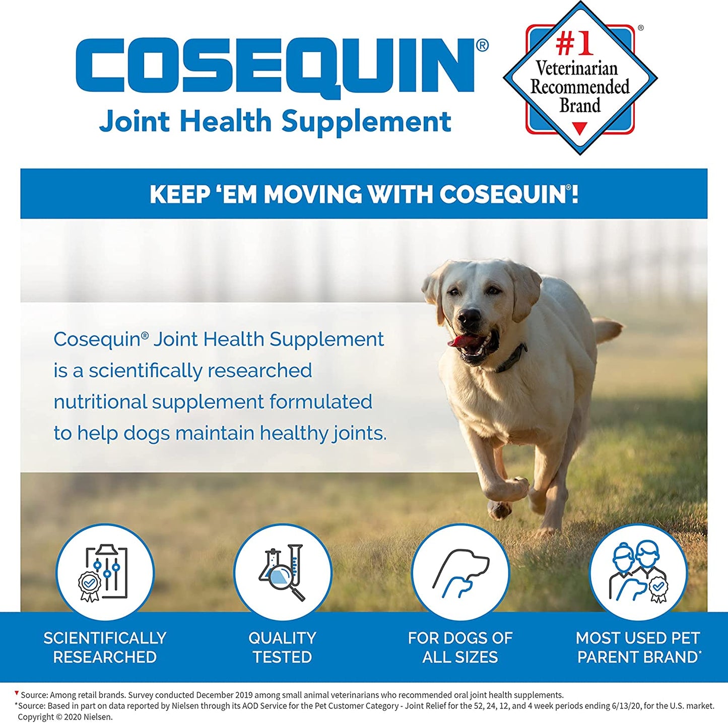 Cosequin DS Maximum Strength Plus MSM & Omega-3's Chewable Tablets, Count of 120, 120 CT