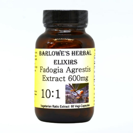 Fadogia Agrestis Extract 10:1 - 60 600mg Vegicaps - Stearate Free, Bottled in Glass