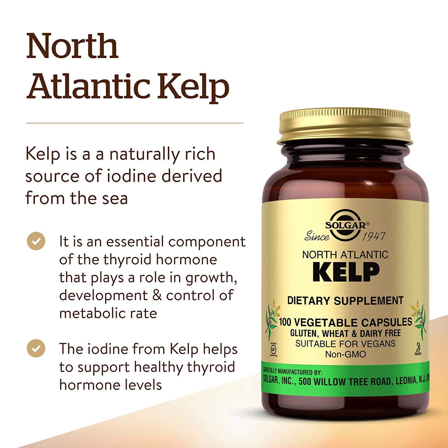 Solgar North Atlantic Kelp - 100 Vegetable Capsules